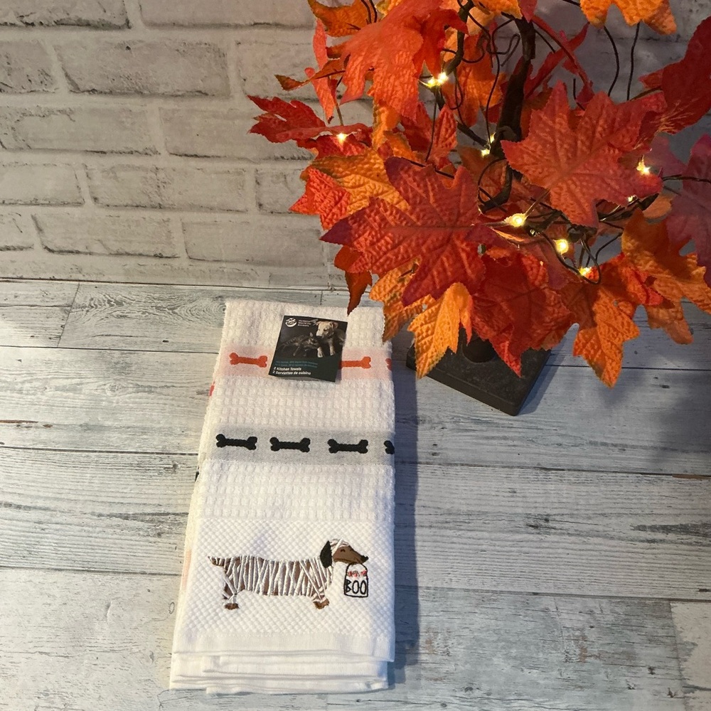 HUMANE SOCIETY 2pk Halloweenie Costumes Applique Kitchen Towels